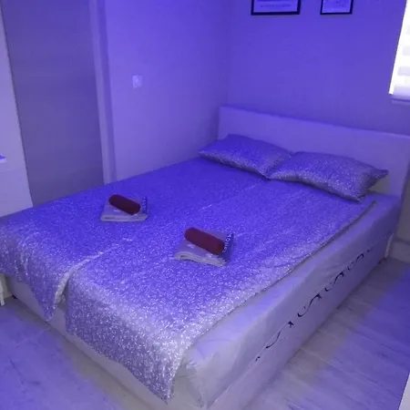 Blue Carpet Bed & Breakfast *