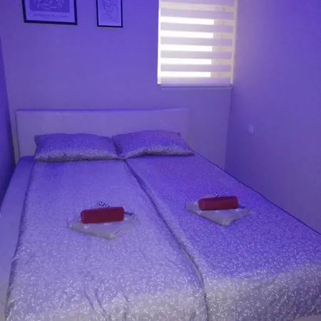 Bed & Breakfast Blue Carpet