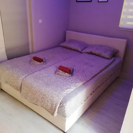 Bed & Breakfast Blue Carpet *